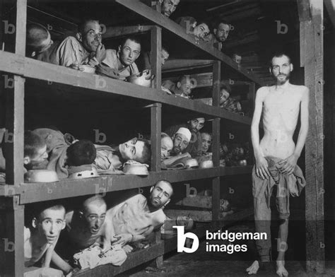 Buchenwald Concentration Camp Survivors In Their Barracks After