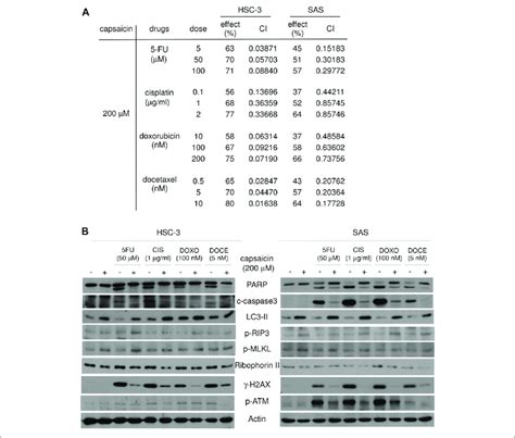 Capsaicin Plus Each Of Four Anticancer Agents Show Synergistic Download Scientific Diagram