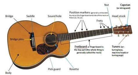 Electric Guitar Strings Labeled | Guitar Information