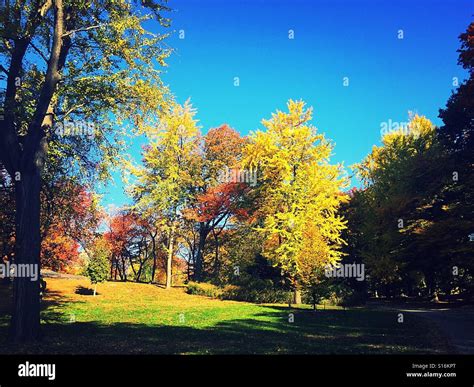 Fall Foliage in the northeastern United States Stock Photo - Alamy