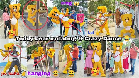 Teddy Bear Irritating And Crazy Dance 💃 Crazy Reaction Funny Video Teddyboy 01team Funny