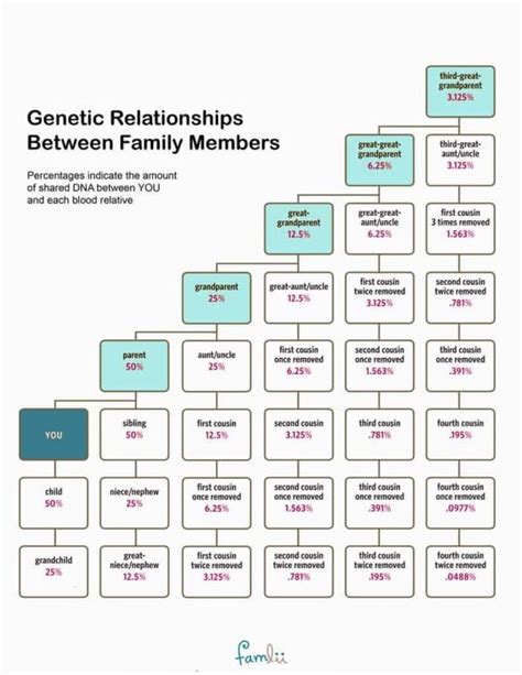 How Much DNA Do Family Members Share? (With Cousin Relationship Chart ...