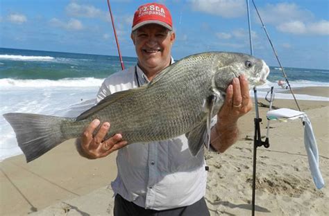 Curiosidades Sobre A Miraguaia Revista Pesca Companhia