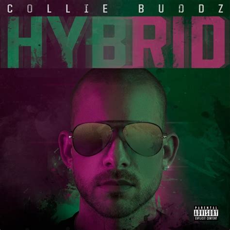 Collie Buddz Effortlessly Blends Reggae And Hip Hop On New Hybrid Album