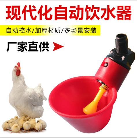 供外贸小鸡用饮水碗鸡用饮水器鹌鹑鸟喝水罐鸽子喝水碗厂家批发 阿里巴巴