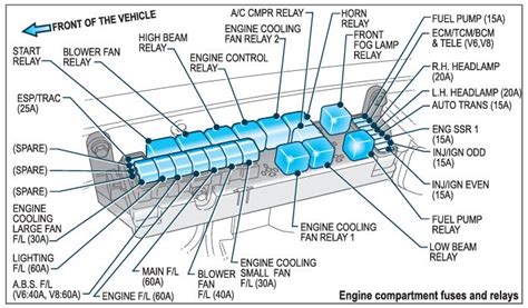 Holden Commodore Fuse Box Diagram Startmycar