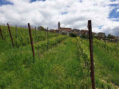 Wein Dine Wanderung Piemont Wander Erlebnis Ch Hiking Adventure Ch