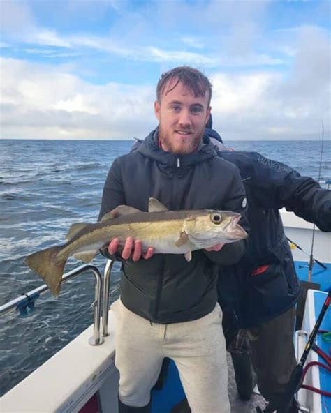 Pollack Fishing Continues In Galway Bay Fishing In Ireland Catch