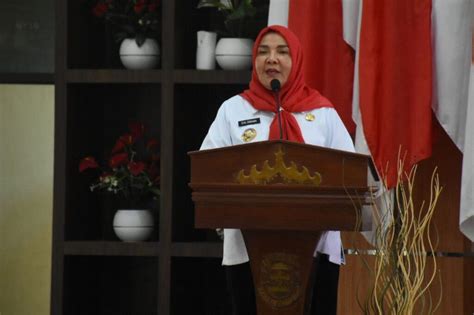 Jembatan Pulau Pasaran Segera Diresmikan Walikota Bandar Lampung Eva