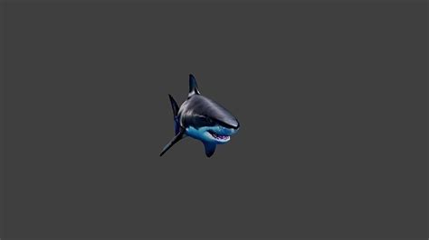 3D model Shark Animal VR / AR / low-poly | CGTrader