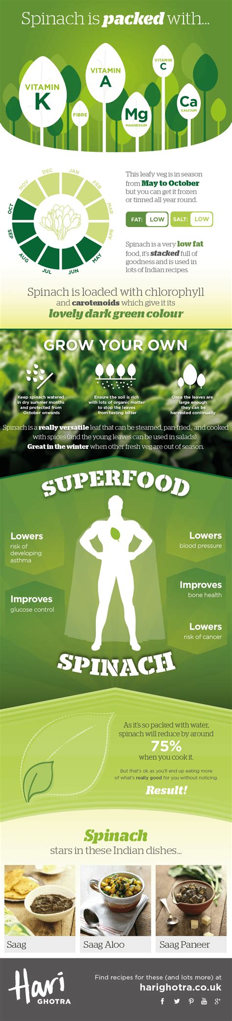 Spinach Infographic