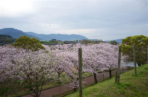 Imgp0394 駕与丁公園 福岡県糟屋郡粕屋町駕与丁3丁目2 1 Yuki5287 Flickr