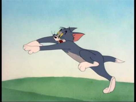 Tom and Jerry - Little Quacker | Tom and jerry, Fun, Anime