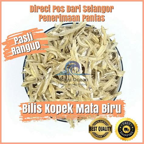 Bayu Ocean Ikan Bilis Mata Biru Kopek And Belum Kopek Gred 5a A Rangup