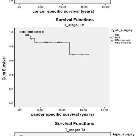 Kaplan Meier Analysis Of Cancer Specific Survival Time Css According