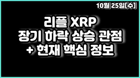 리플 Xrp 장기 하락 상승 관점 현재 핵심 정보 Youtube