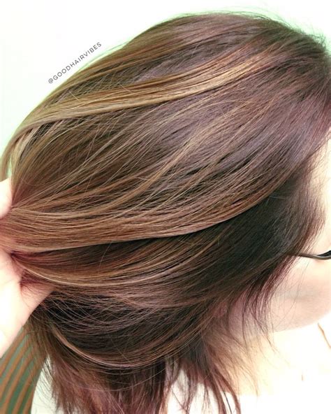 Sunkissed brunette Balayage sombrè brunette Redken Redken color