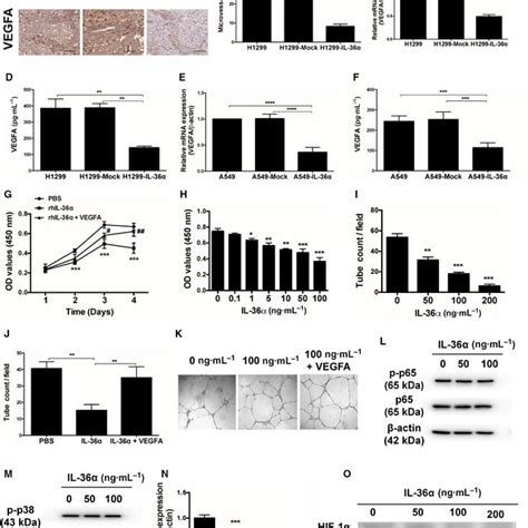 Il‐36α Suppressed Tumor Angiogenesis Through Inhibiting Hif‐1αvegfa