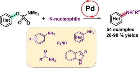 钯膦配合物催化芳基氨基磺酸盐的大范围胺化acs Catalysis X Mol