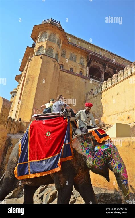 Elephant ride at Amer Fort (Amber Fort) Jaipur,rajasthan,india Stock ...