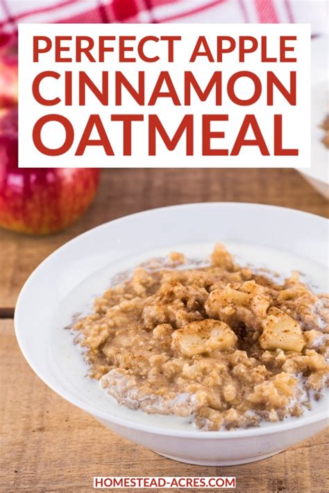 Easy Apple Cinnamon Oatmeal Recipe Stove Top Homestead Acres