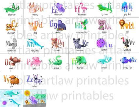 Animal Alphabet Flashcards Printable Instant Download Flash - Etsy