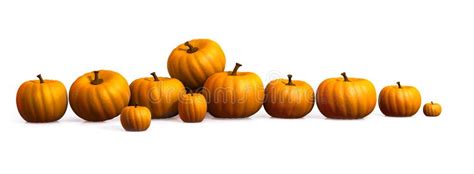 Row Of Pumpkins Stock Illustration Illustration Of Fruit 25946350