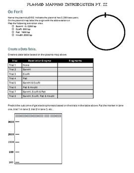 Plasmid Mapping Introduction 2 by Perry Hyde | TPT