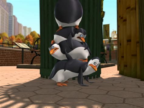 Private And Rico Cant Handle Skippys Weight Xd Penguins Of Madagascar Photo 19955559 Fanpop