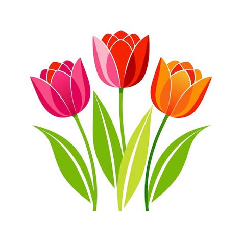 Premium Vector Vector Tulip Flower