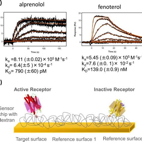 Pdf Fragment Screening By Spr And Advanced Application To Gpcrs