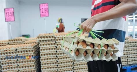 Harga Telur Import Gred C 50 Sen Sebiji Lebih Mahal Daripada Gred A