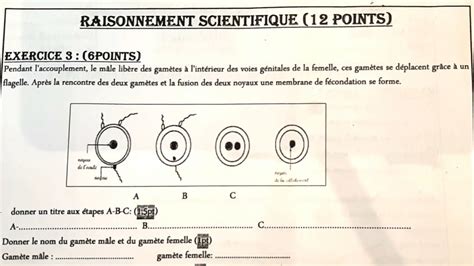 Contrôle Svt 2ac Sur La Reproduction Sexuée Chez Les Animaux Youtube