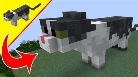 Pictures of Minecraft Cat: 10 Adorable Feline Friends You Must See!