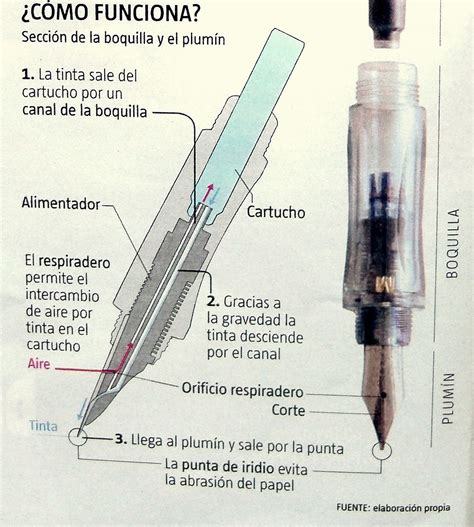 Las Partes De Una Pluma Estudiar