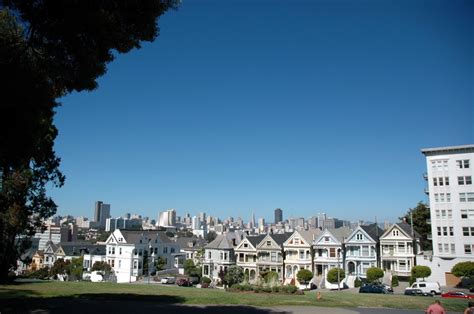 Painted Ladies 2 Free Photo Download | FreeImages