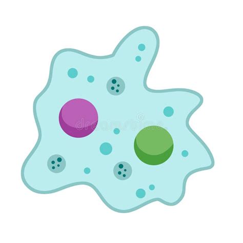 Unicellular Amoeba Stock Illustrations 508 Unicellular Amoeba Stock