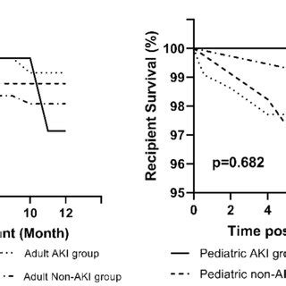 Kaplanmeier Curve Illustrating Patient And Graft Survival In The