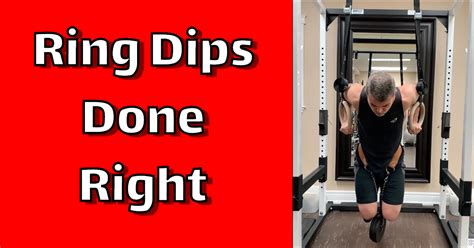 Ring Dips Done Right - The Elite Trainer