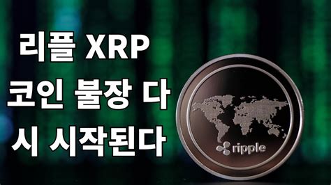 리플 Xrp 코인 불장 다시 시작된다 🚀 리플코인 비트코인 이더리움 에이다 도지코인 Youtube