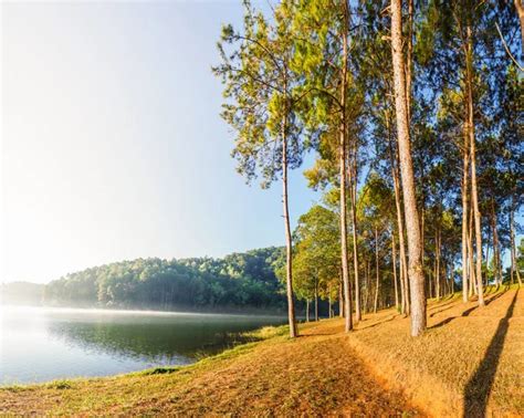 Vista Panor Mica De Pang Ung Embalse De Pang Tong A La Luz Del Sol De