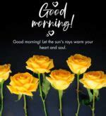 Beautiful Good Morning Yellow Rose Images November