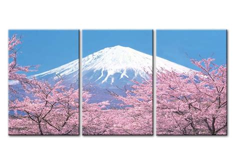 Mount Fuji Cherry Blossom