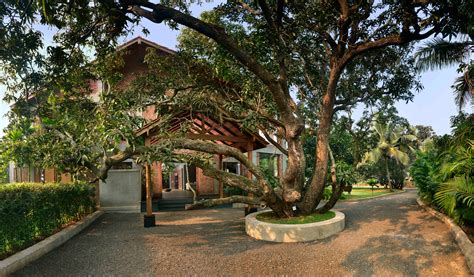 Brick Lined Interiors Open Onto Garden Filled With Fruit Trees At The Mango House Free Autocad