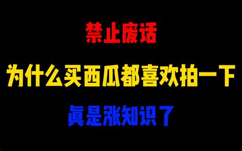 禁止废话：为什么买西瓜都喜欢拍一下？涨知识了 废话终结 废话终结 哔哩哔哩视频