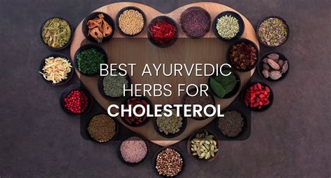 Best Ayurvedic Herbs For Cholesterol Krishnas Herbal And Ayurveda