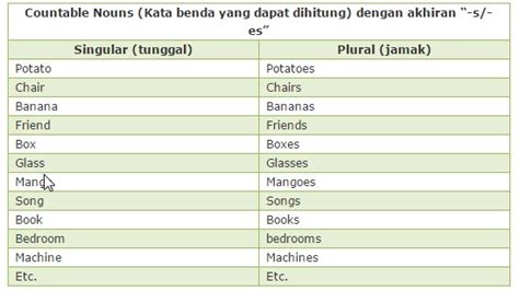 Contoh Kalimat Singular Dan Plural