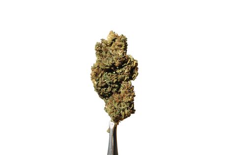 Special Sauce Strain Review Cbd Hemp Flower By Mr Hemp Flower