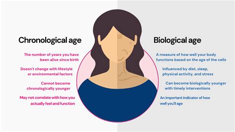 Calendar Age Vs Biological Age Gwen Pietra