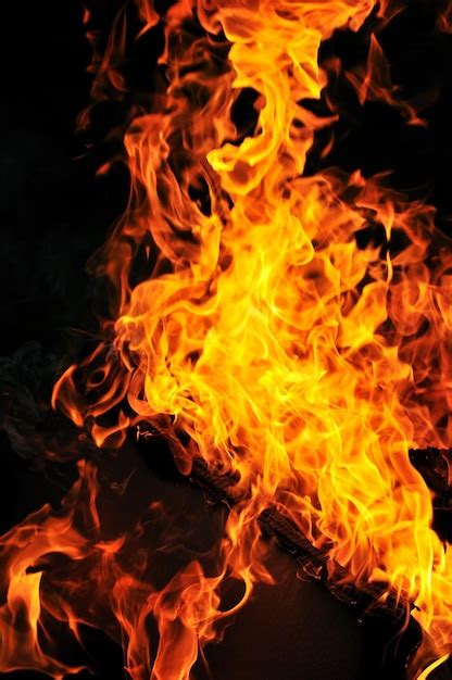 Premium Photo Wild Fire Flames Burn Hot With Black Background